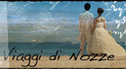 Honey moon trips - Informations